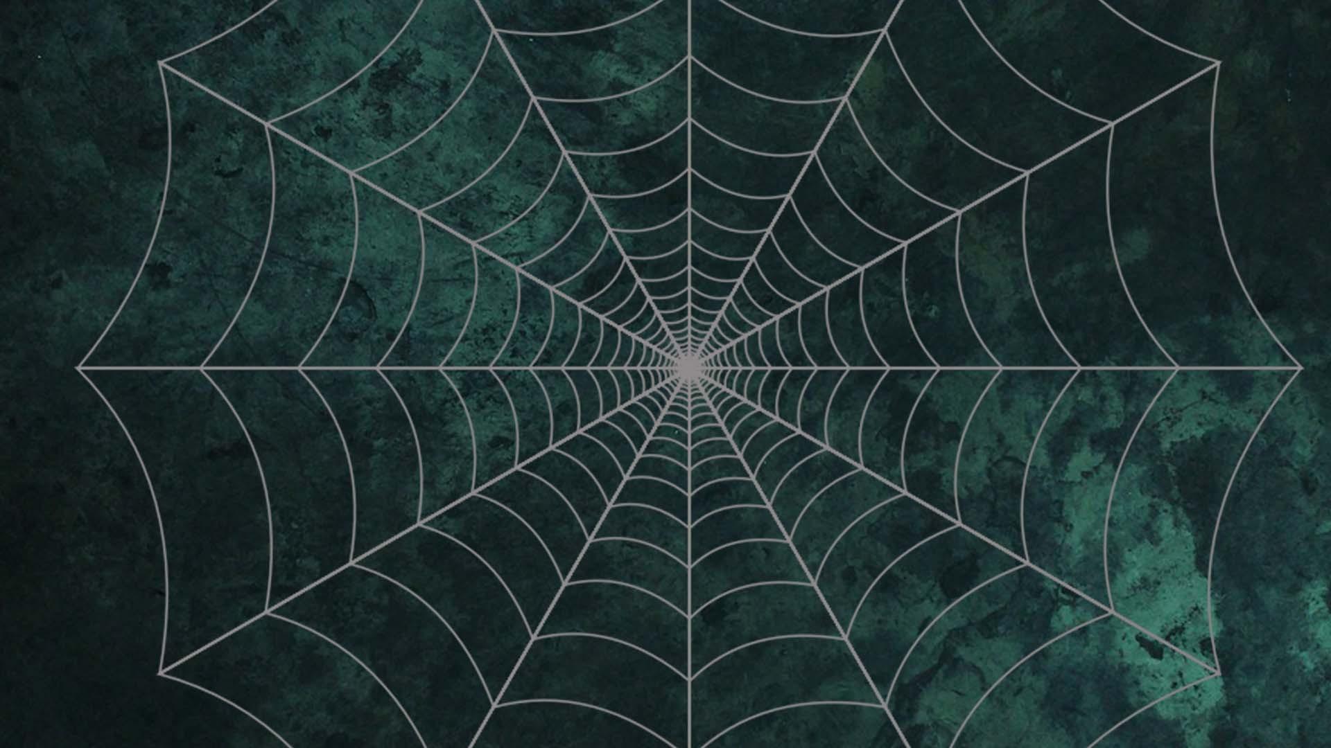 Halloween Spider Web Desktop Wallpaper 34780