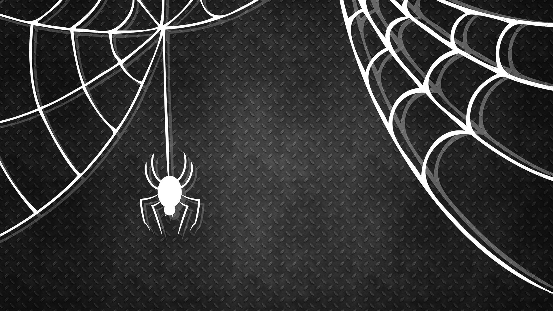 Halloween Spider Web Wallpaper HD 34787