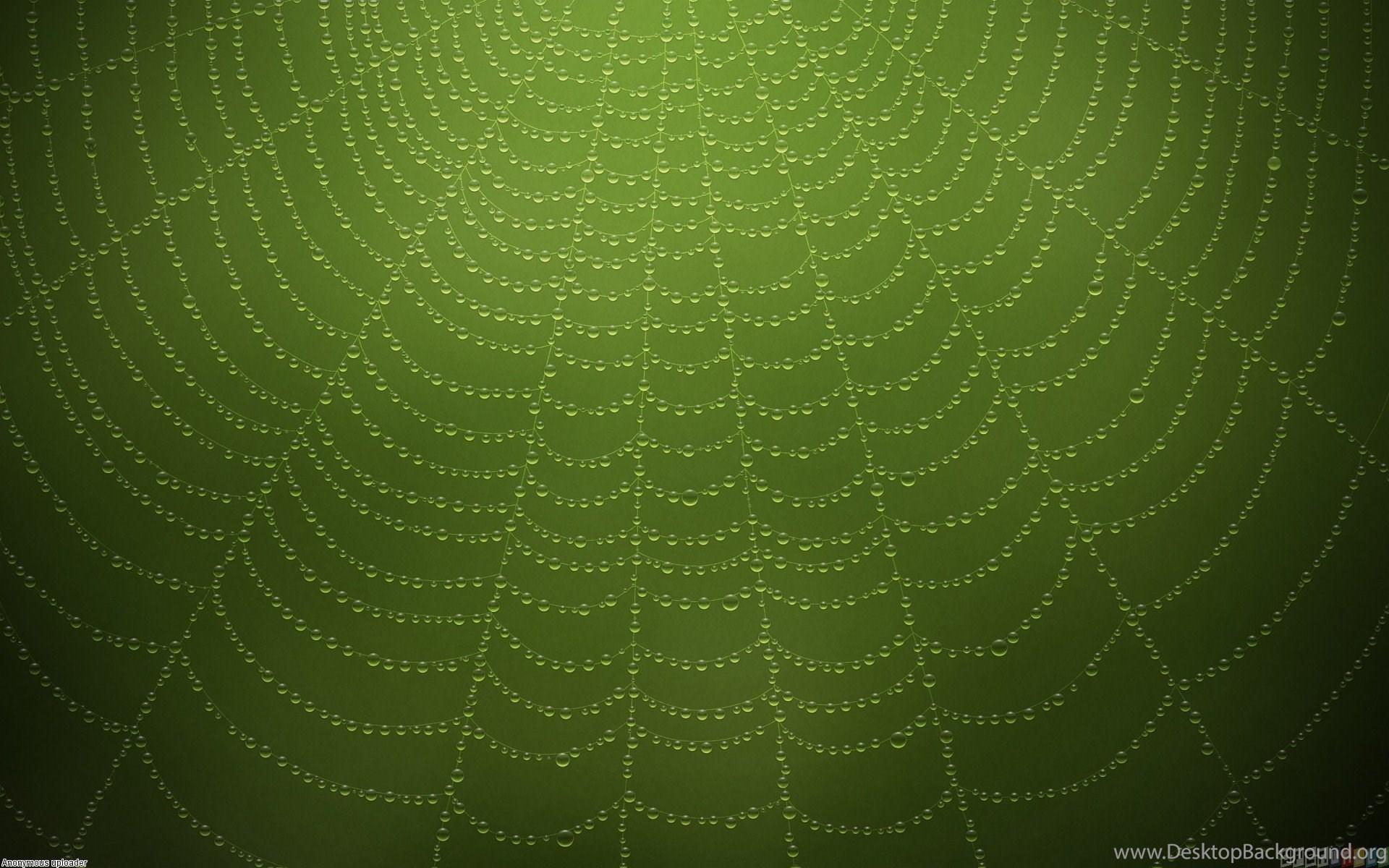 Green Spider Web Wallpaper Desktop Background