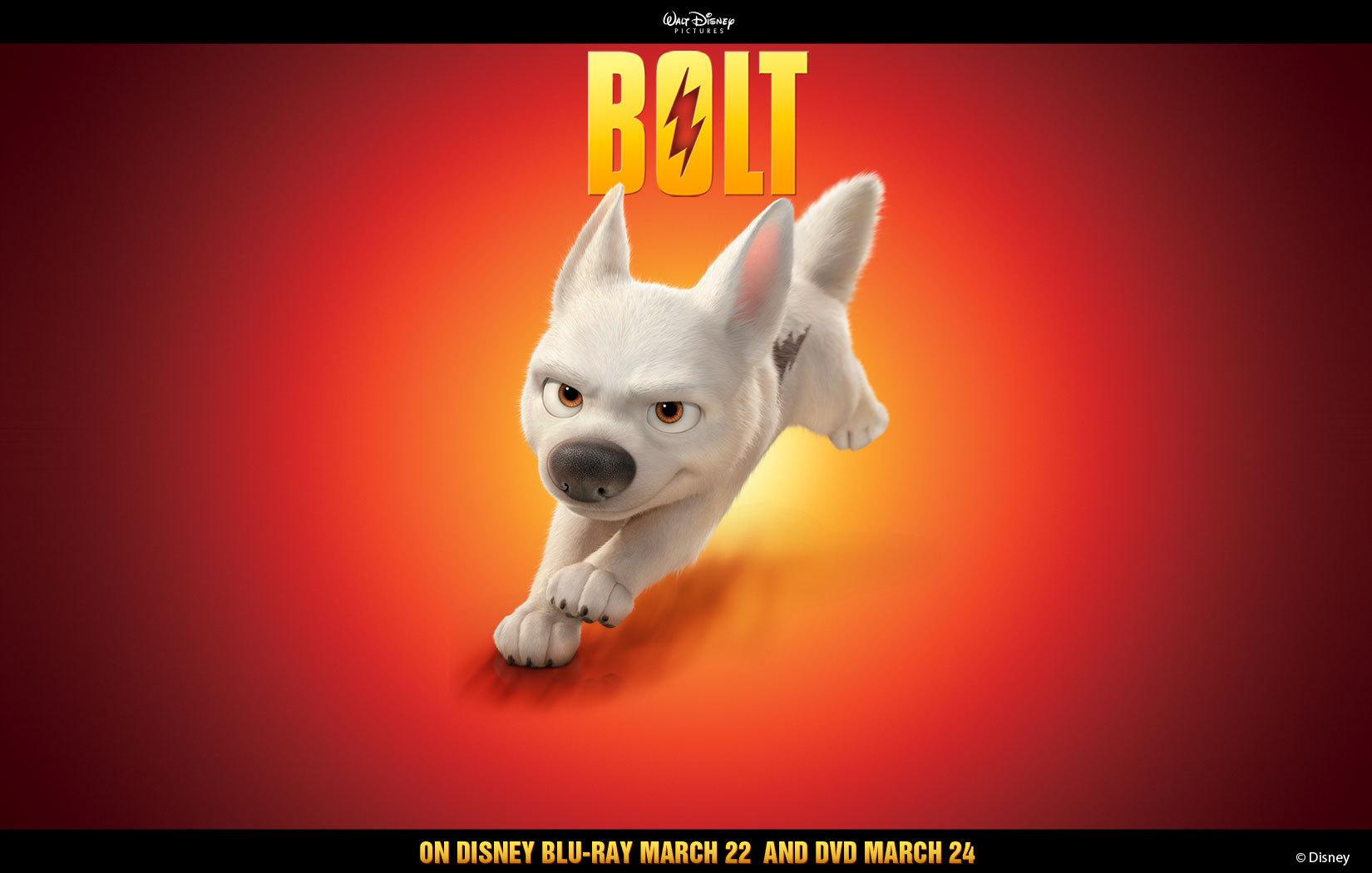 Popular Bolt Image