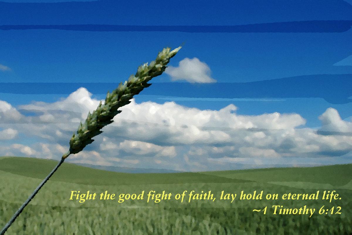 Motivational Wallpaper on Life: Fight the good fight of faith lay