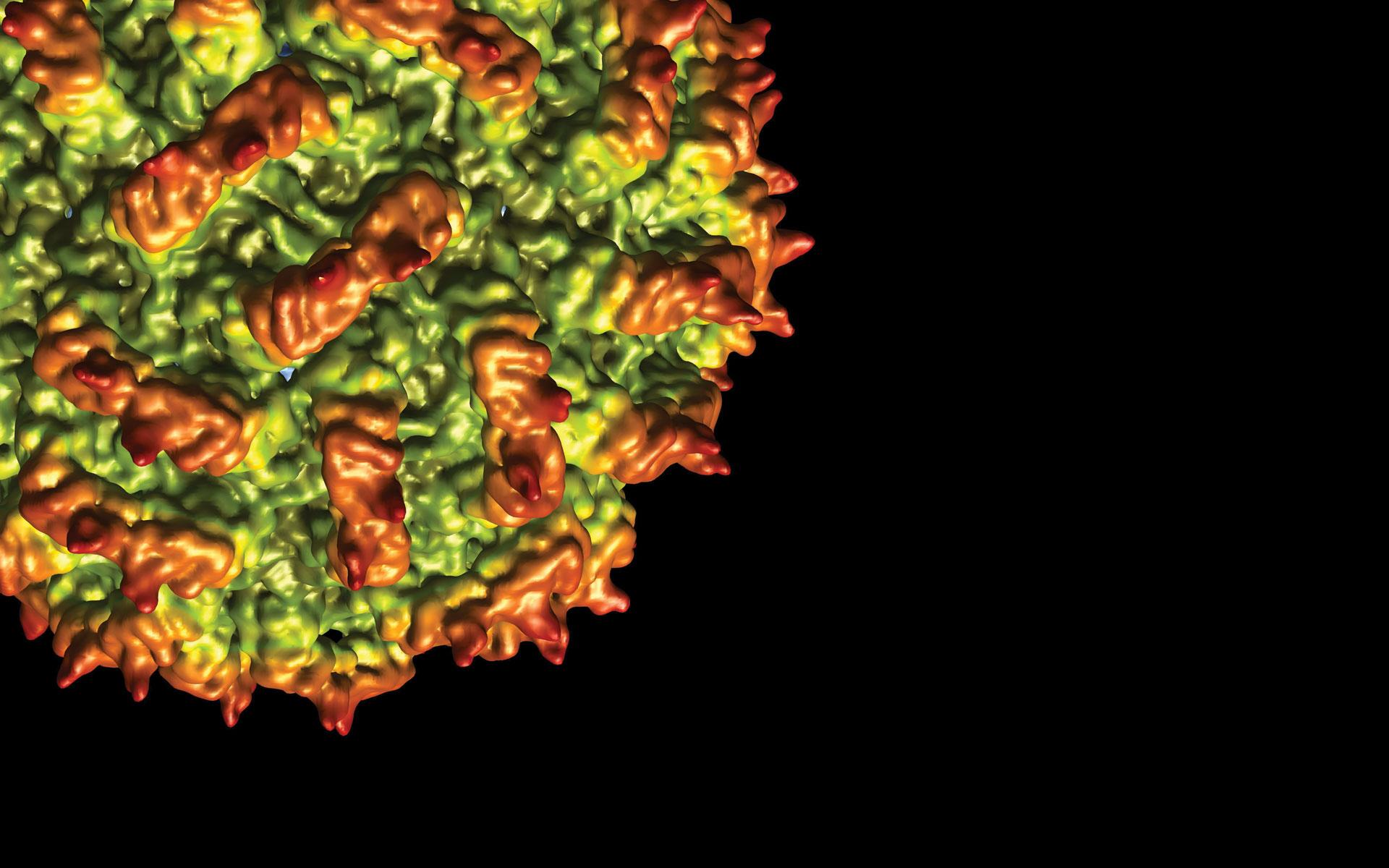 Virus wallpaper and image, picture, photo