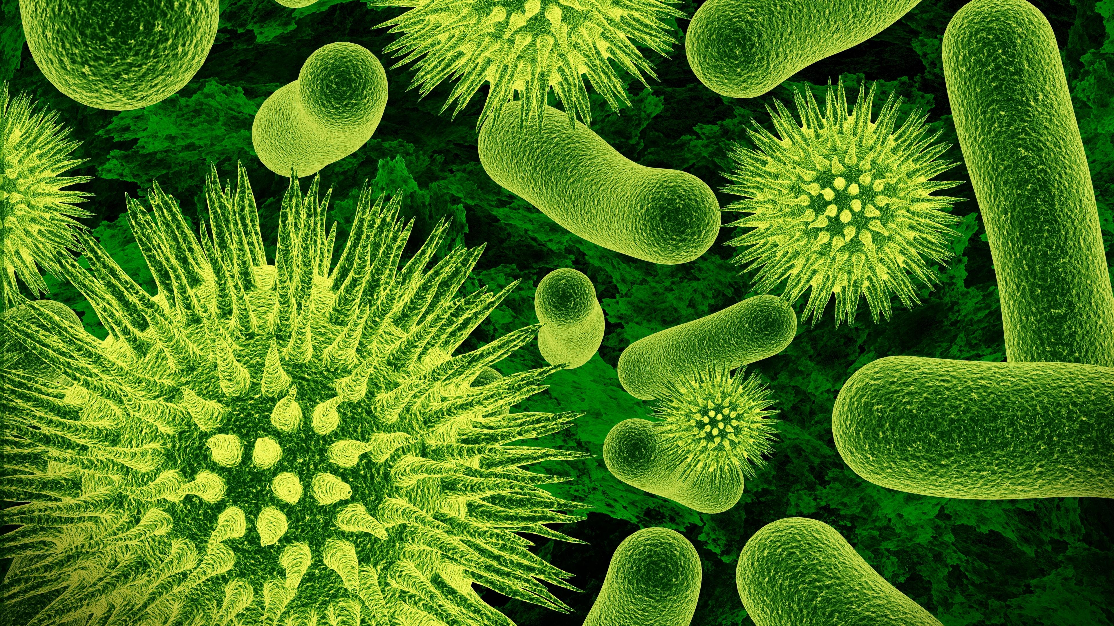 Wallpaper Bacteria, Virus, Green, Microbial, 4K, Creative Graphics
