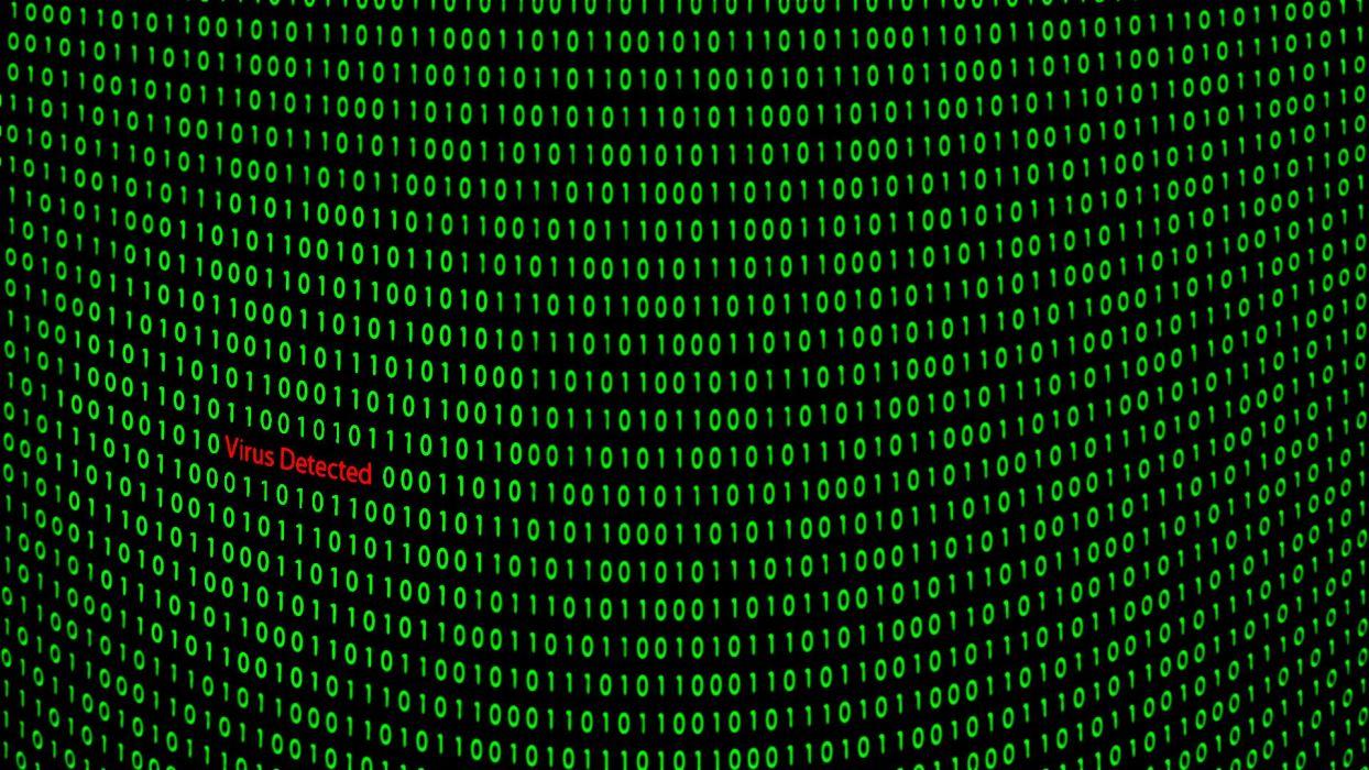 Computer virus danger hacking hacker internet sadic (36) wallpaper