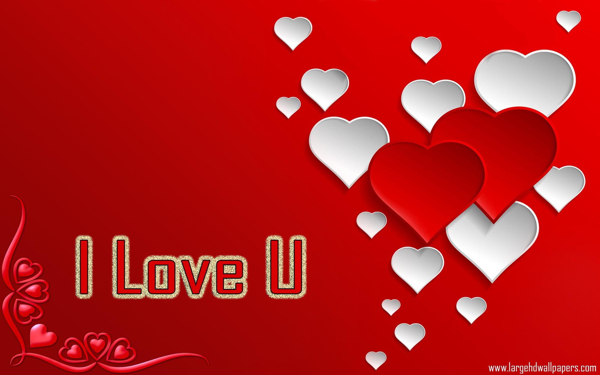 i love u wallpaper