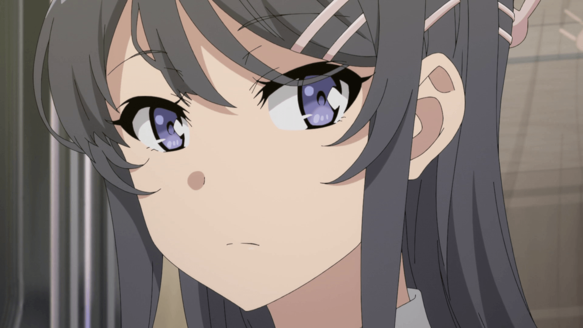 Fact: Mai Sakurajima is best girl of 2018