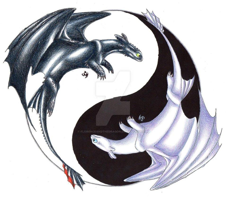 Yin and Yang Toothless and Light Fury