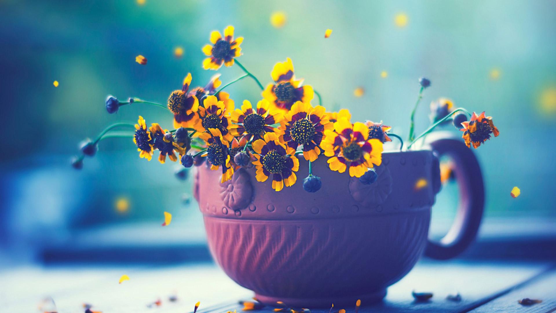 Flower Cup Wallpaper