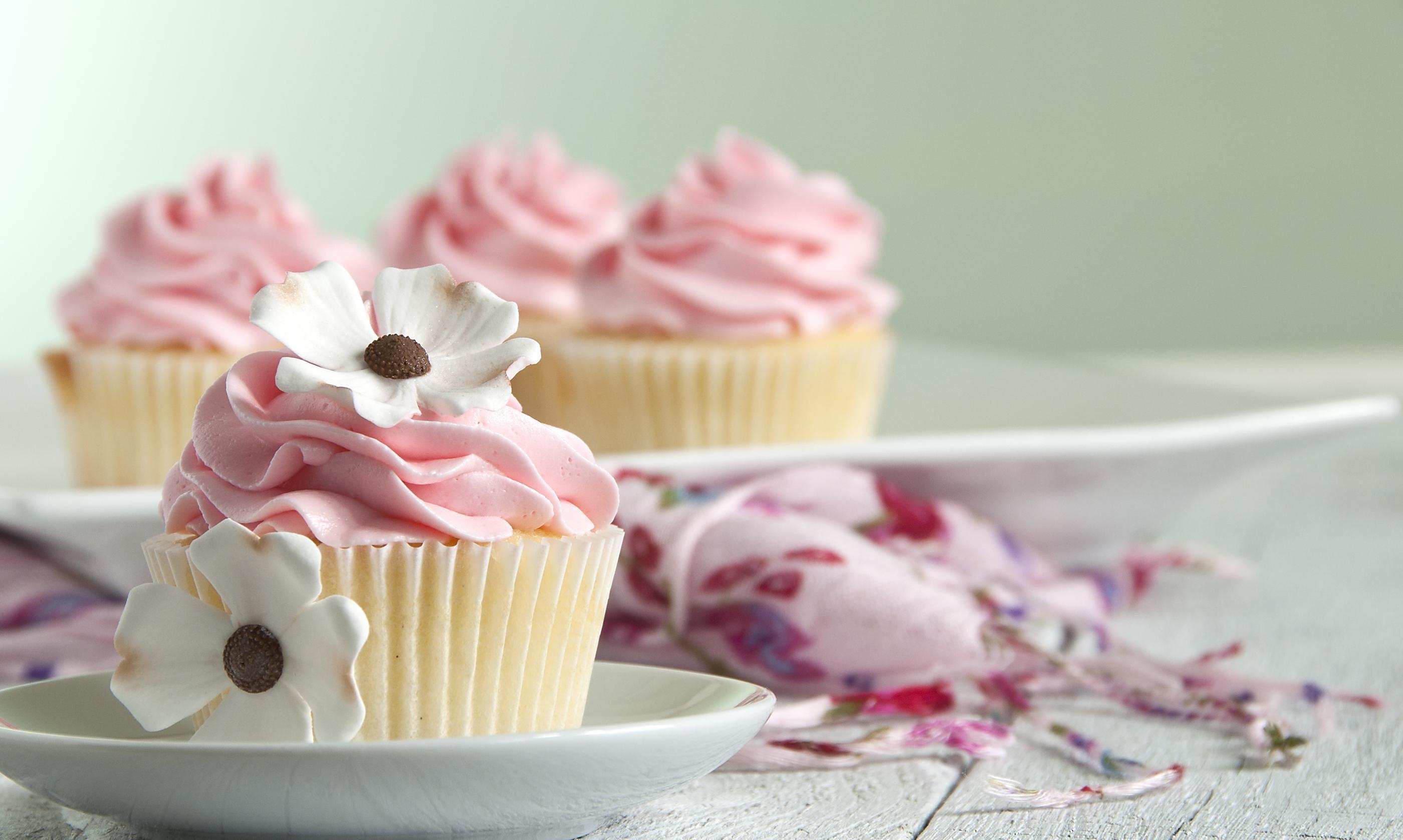 cup cake wallpaper Gallery