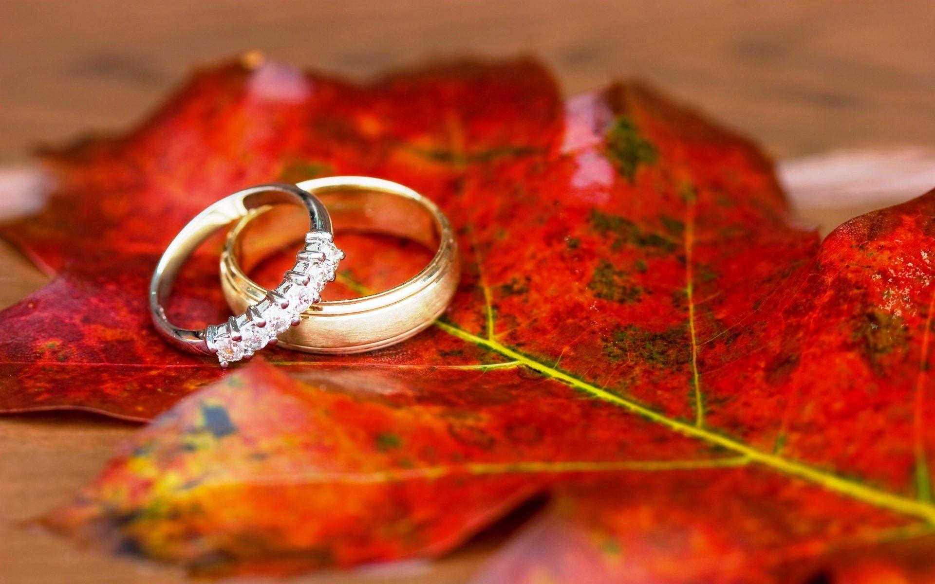 Wedding Rings Wallpapers  Top Free Wedding Rings Backgrounds   WallpaperAccess