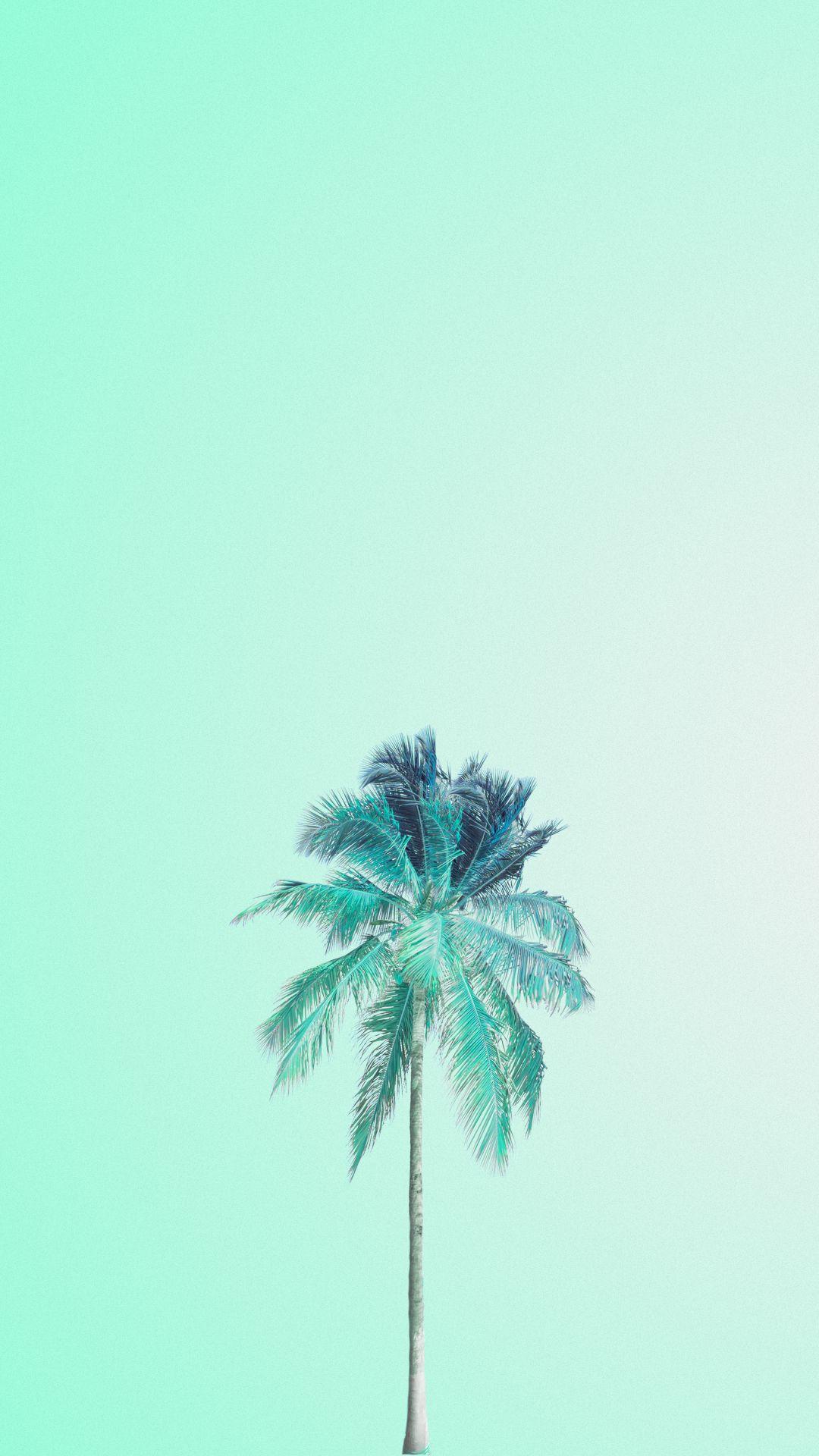 Mojito palm. Mint wallpaper, Green wallpaper, Summer wallpaper