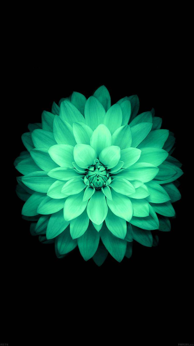 ↑↑TAP AND GET THE FREE APP! Nature Flowers Mint Beautiful Dark