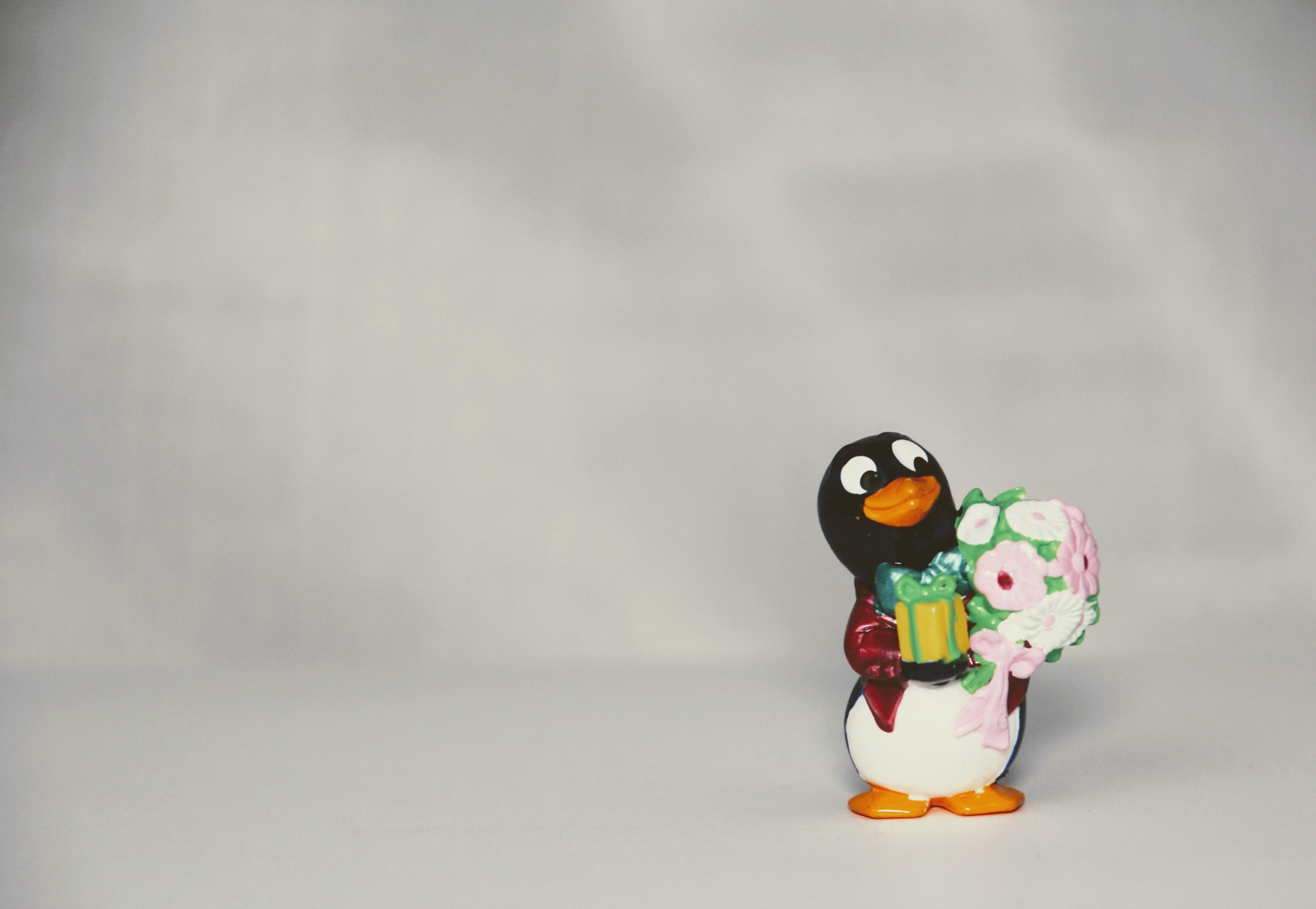 Download 3530x2439 Penguin Figure, Toy Wallpaper