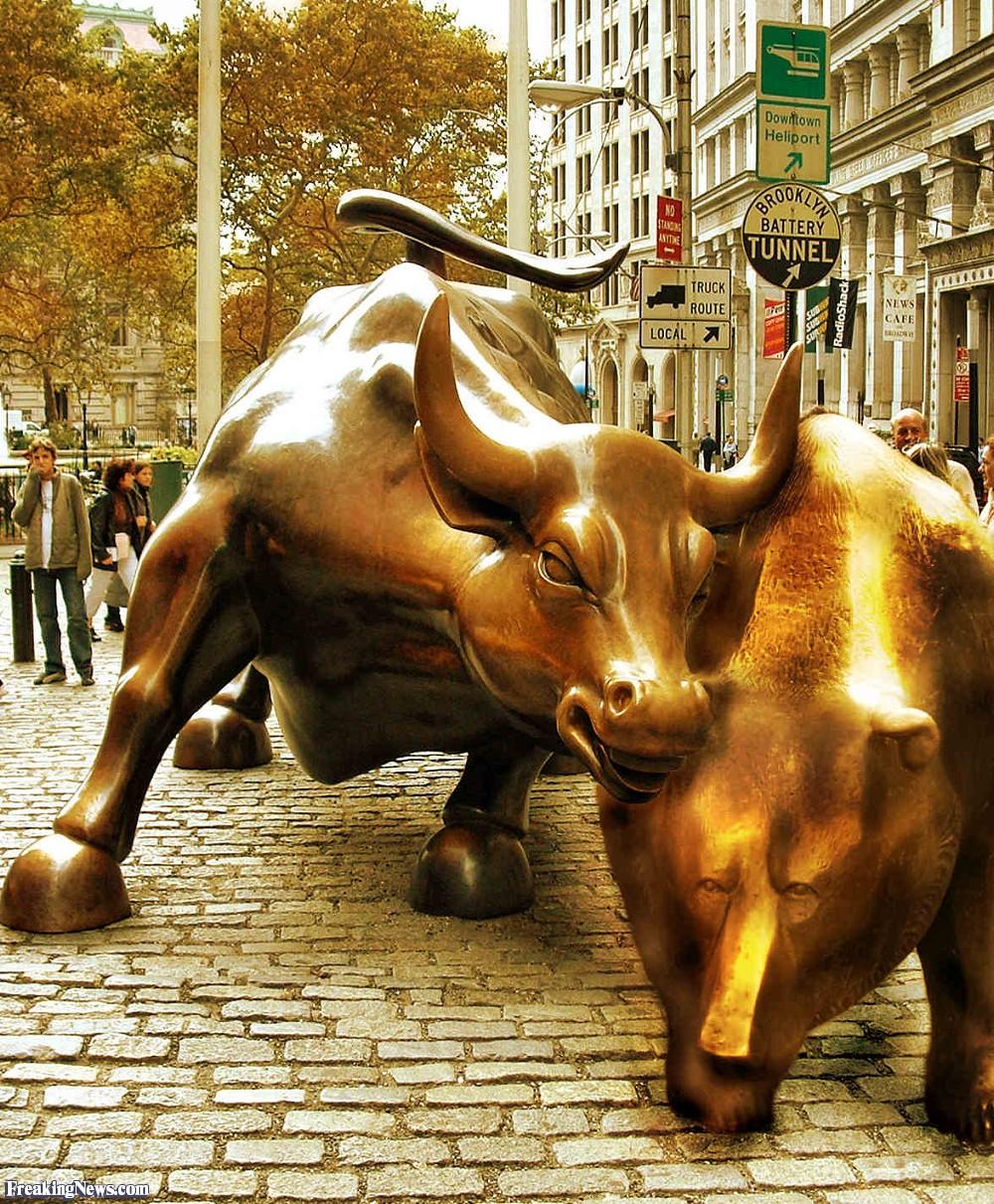 Wall Street Bull and a Bear Picture