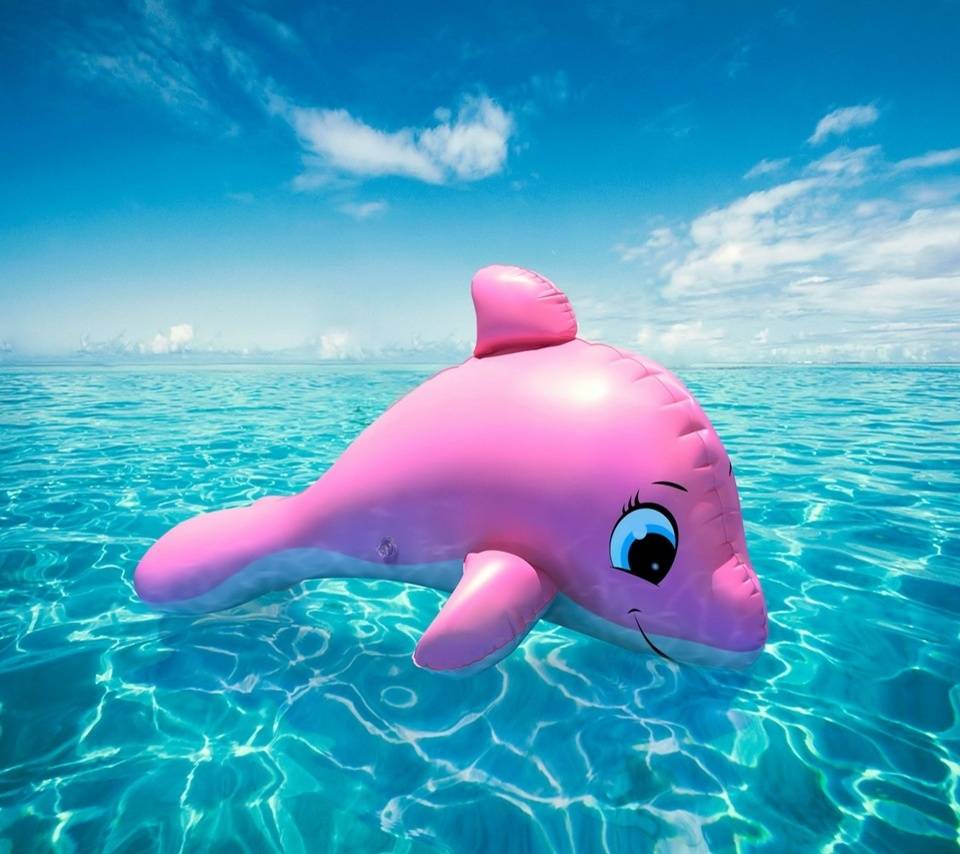 Cute Pink Dolphin Wallpaper