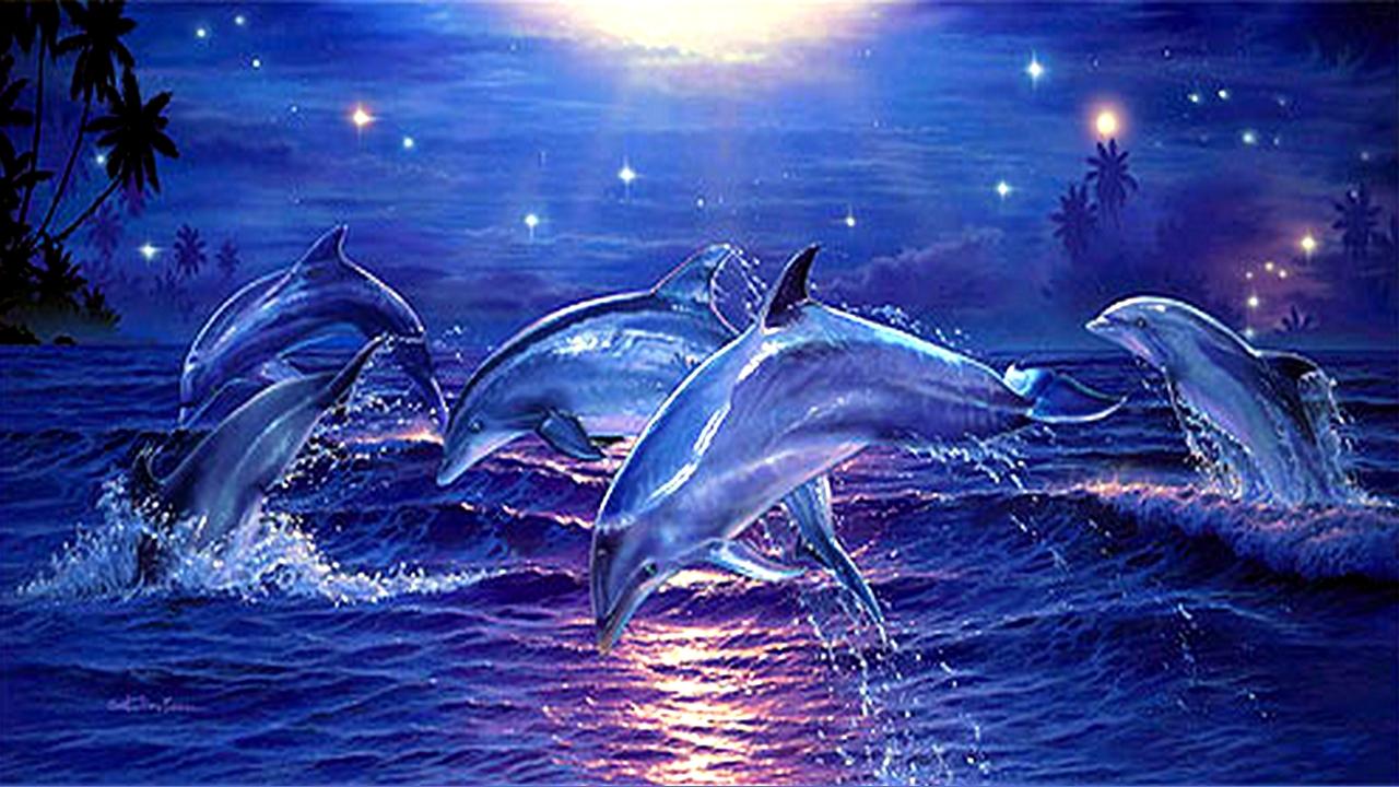 Picture of Pink Dolphin Wallpaper