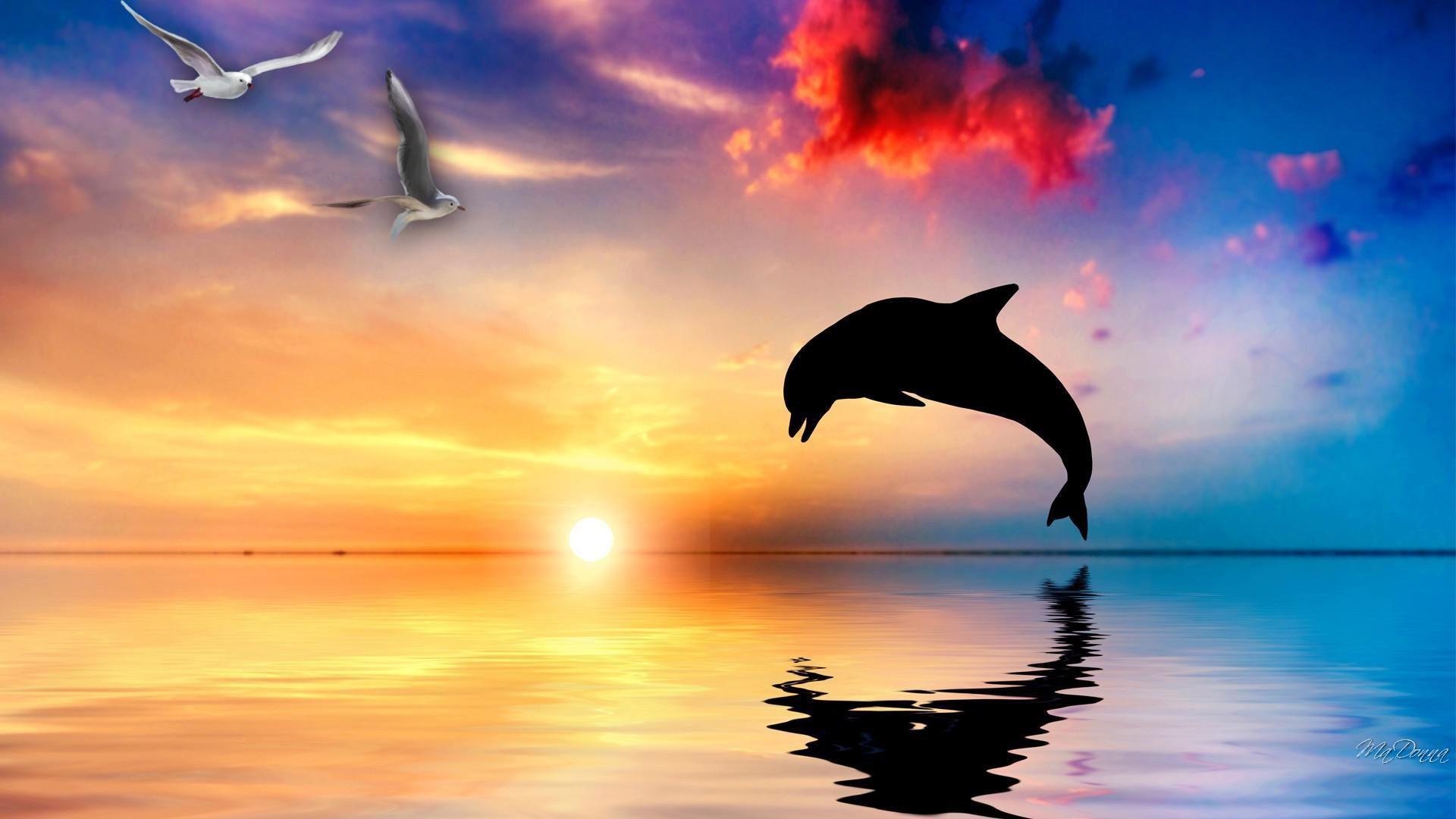 Cute Pink Dolphins Wallpaper 40271