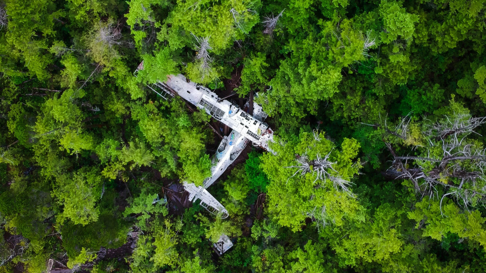 aerial shot of wreck aircraft [1920x1080]