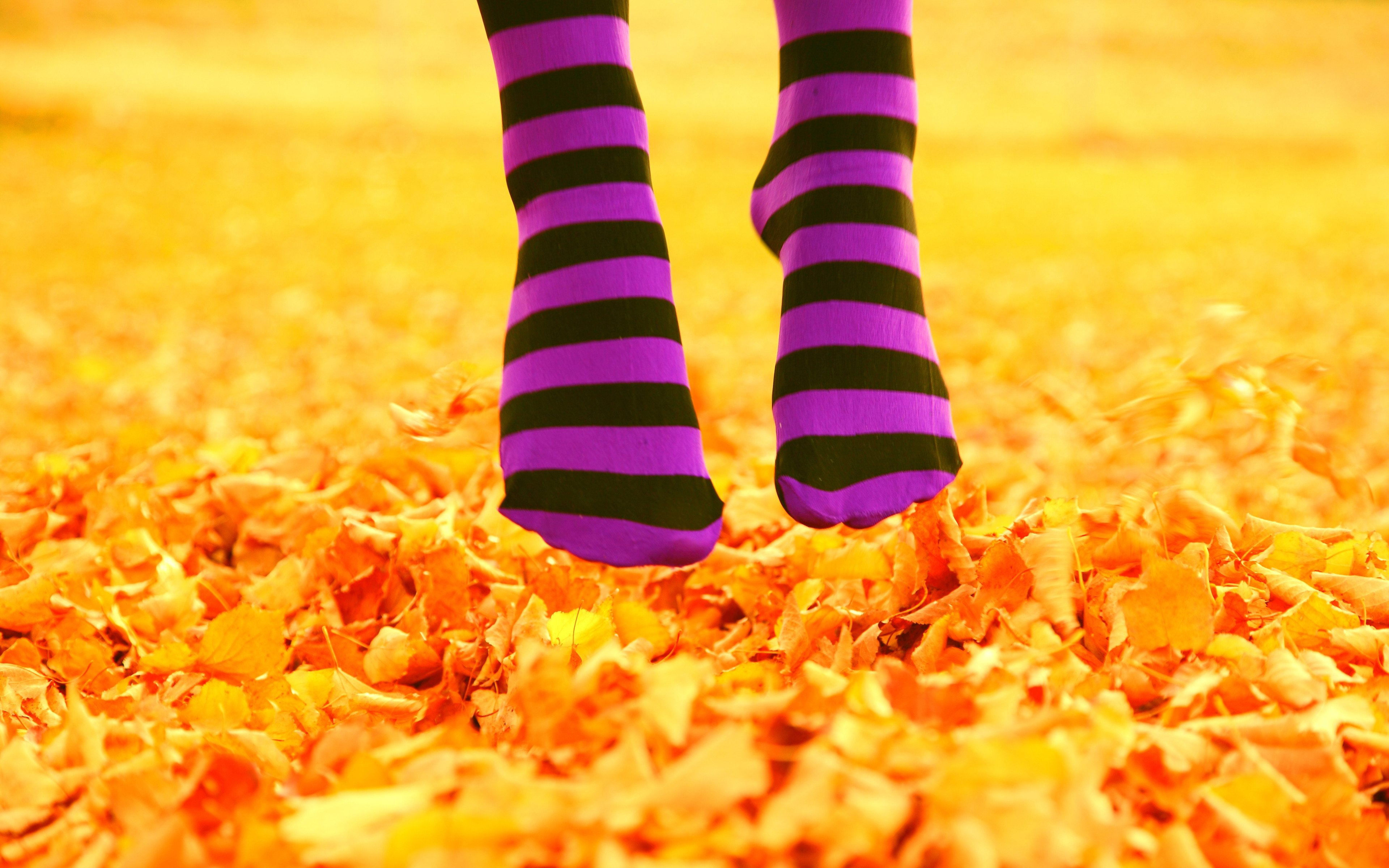 Feet, Jump, Purple Socks, Orange Leaves on the Ground widescreen