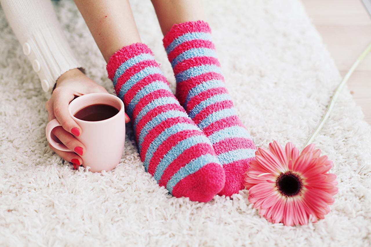 Picture Socks Gerberas Hot chocolate drink Legs Cup