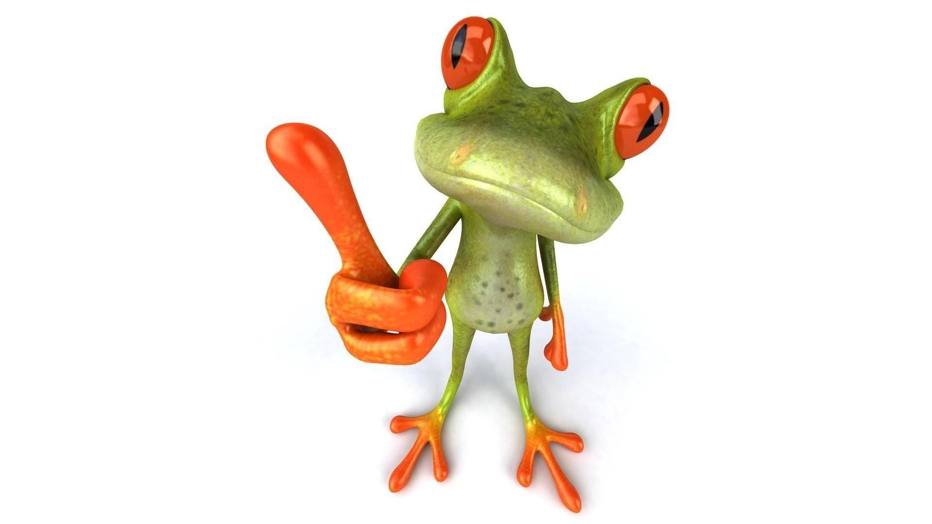 Wallpaper Humor Frogs