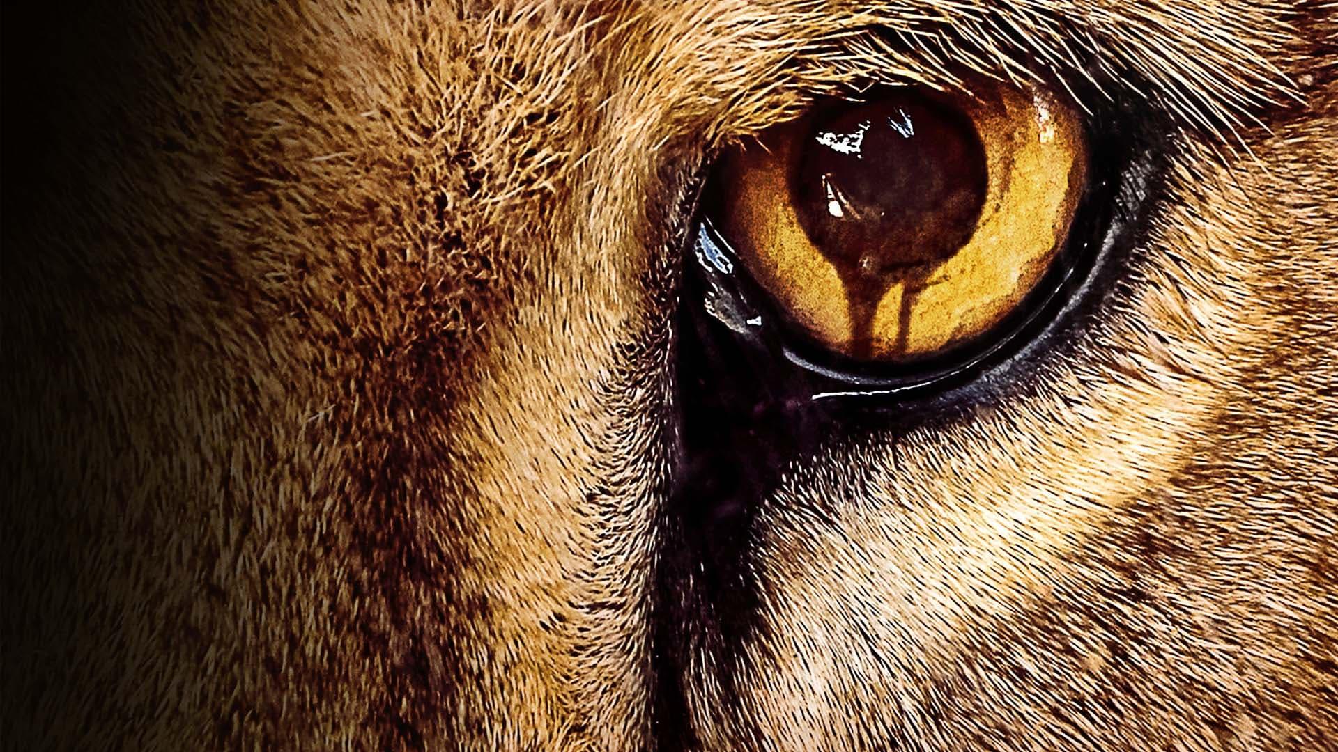 Zoo Wallpapers - Wallpaper Cave