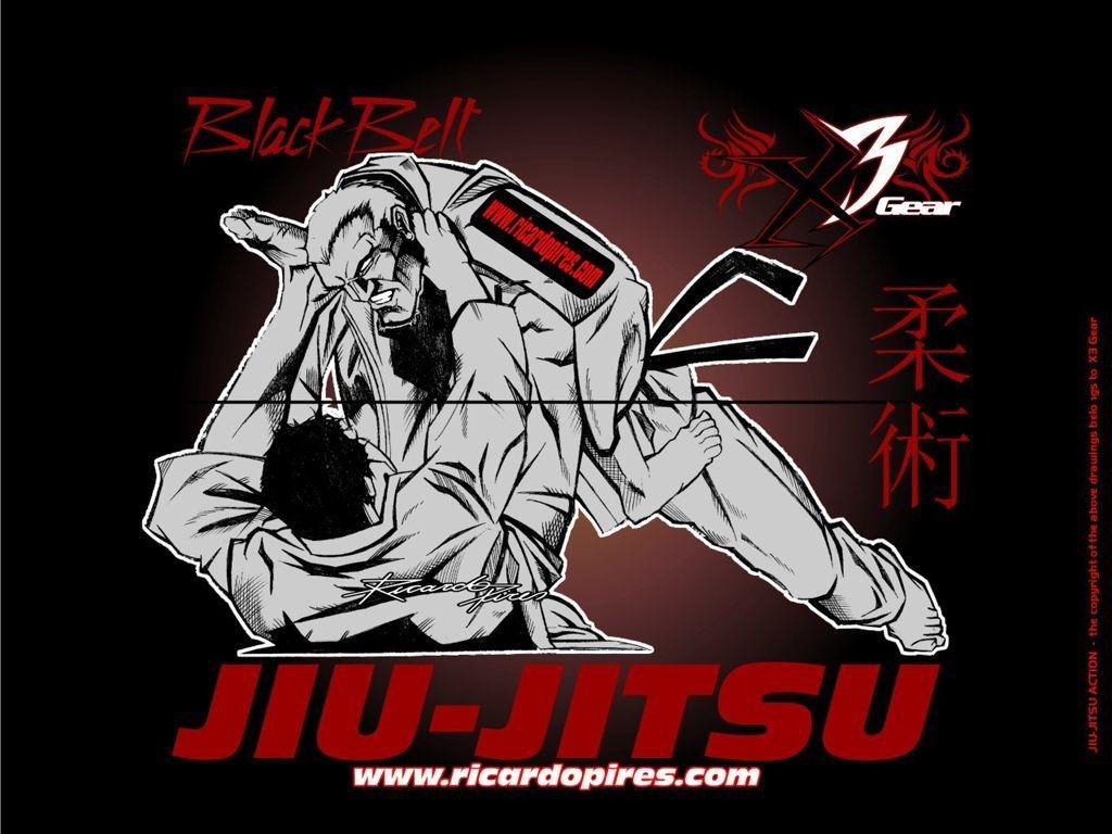 Gracie Jiu Jitsu Wallpaper image