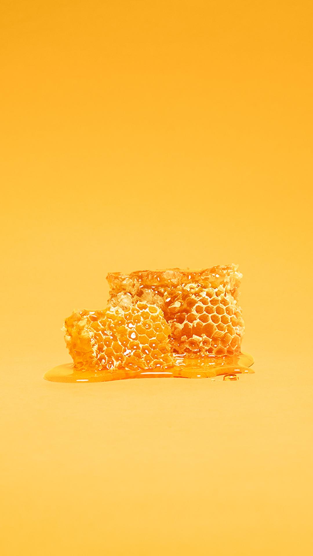 Honeycomb and bee, Bee, Honey, Fresh, Sweet, HD wallpaper | Peakpx