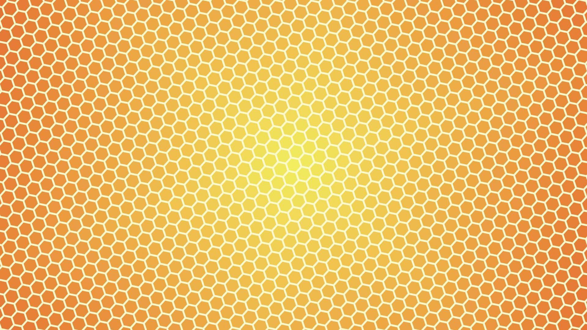 Honey Wallpaper 4 X 1600