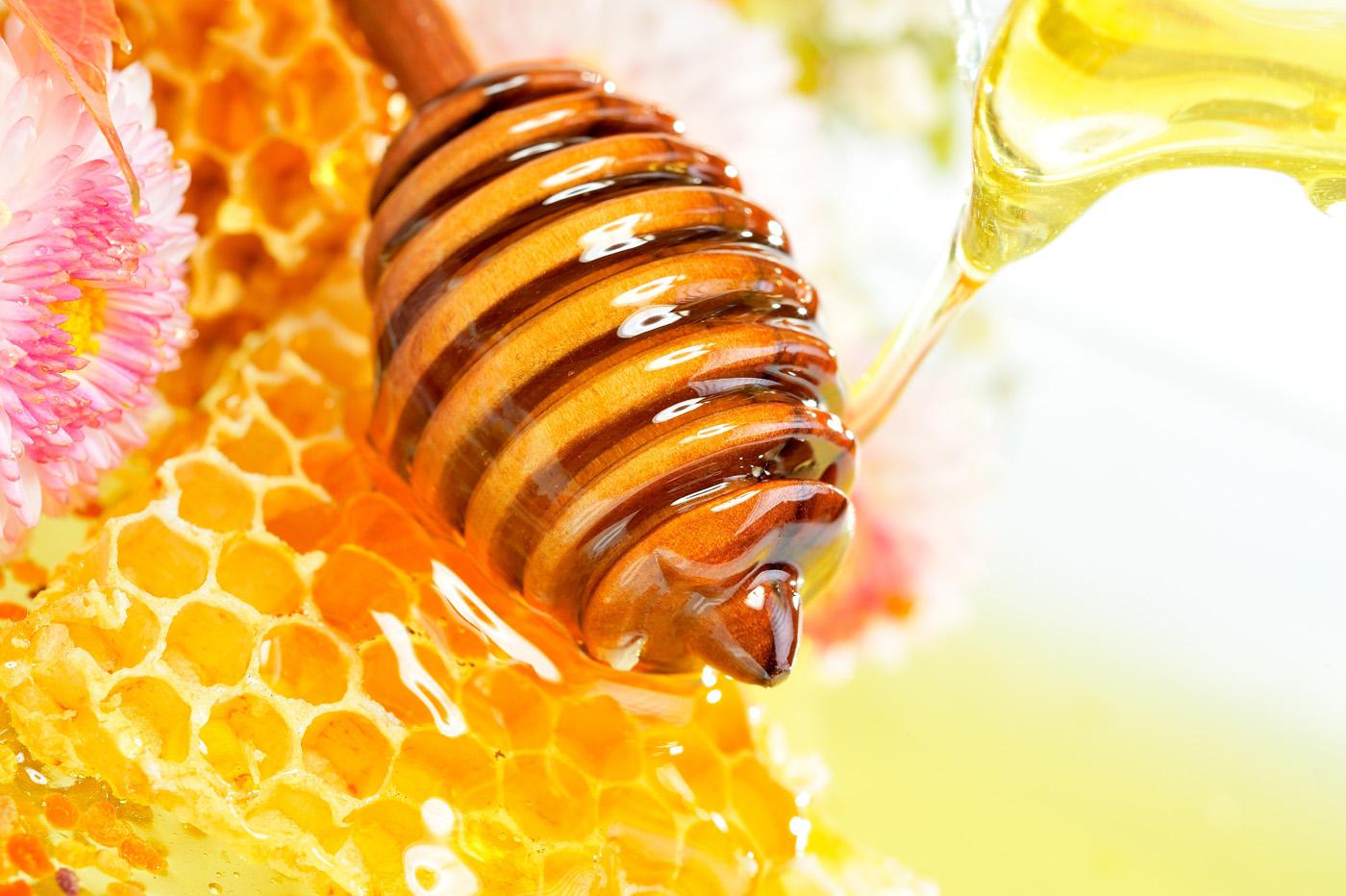 Honey Wallpapers - Wallpaper Cave