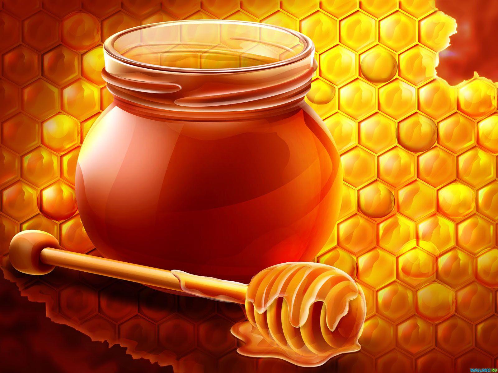 Sweeter than honey ft honey pot wall background  Photo profil Fond  ecran Profil