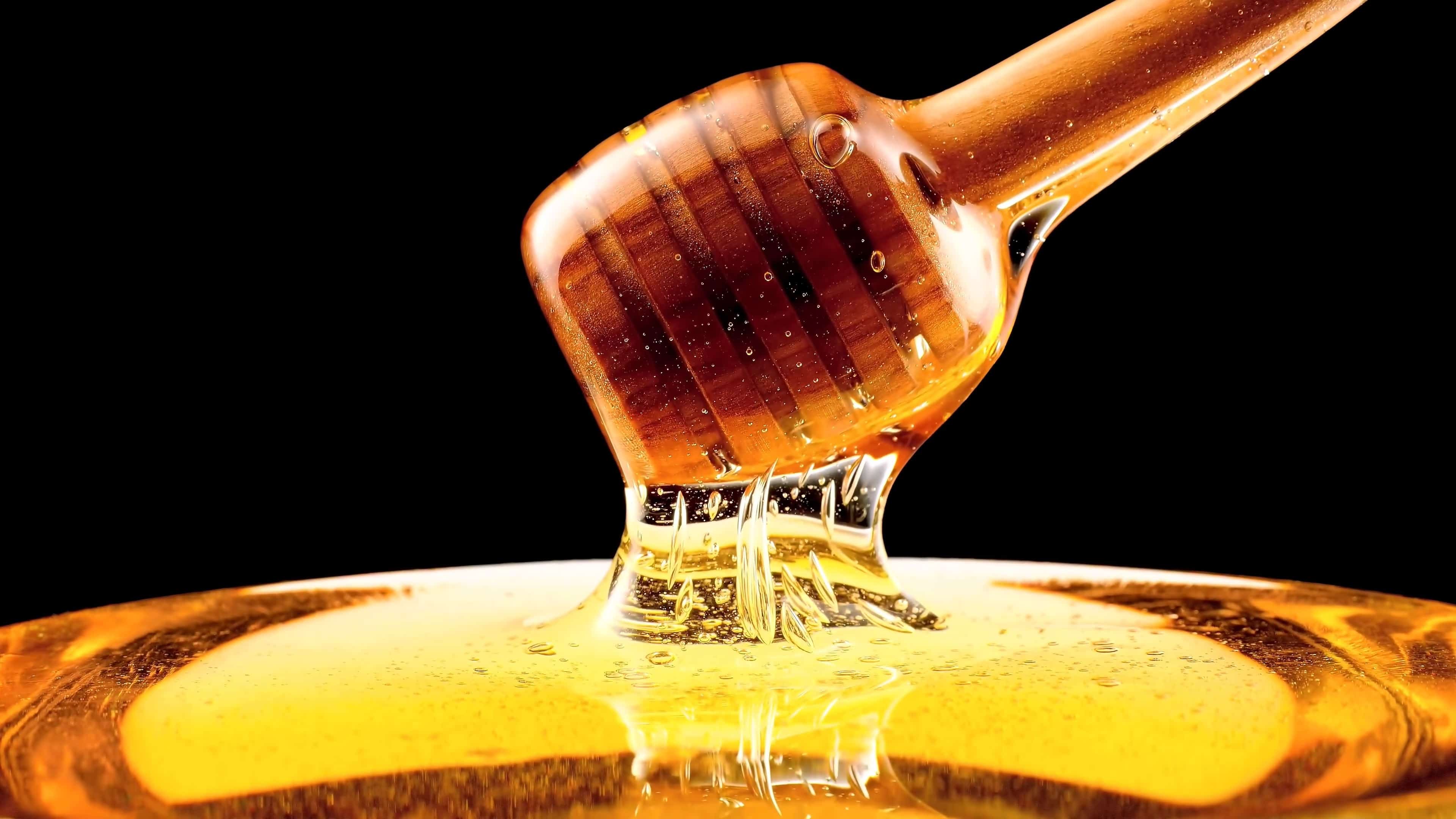 Honey Wallpapers Wallpaper Cave Honey Wallpapers Wallpaper Cave