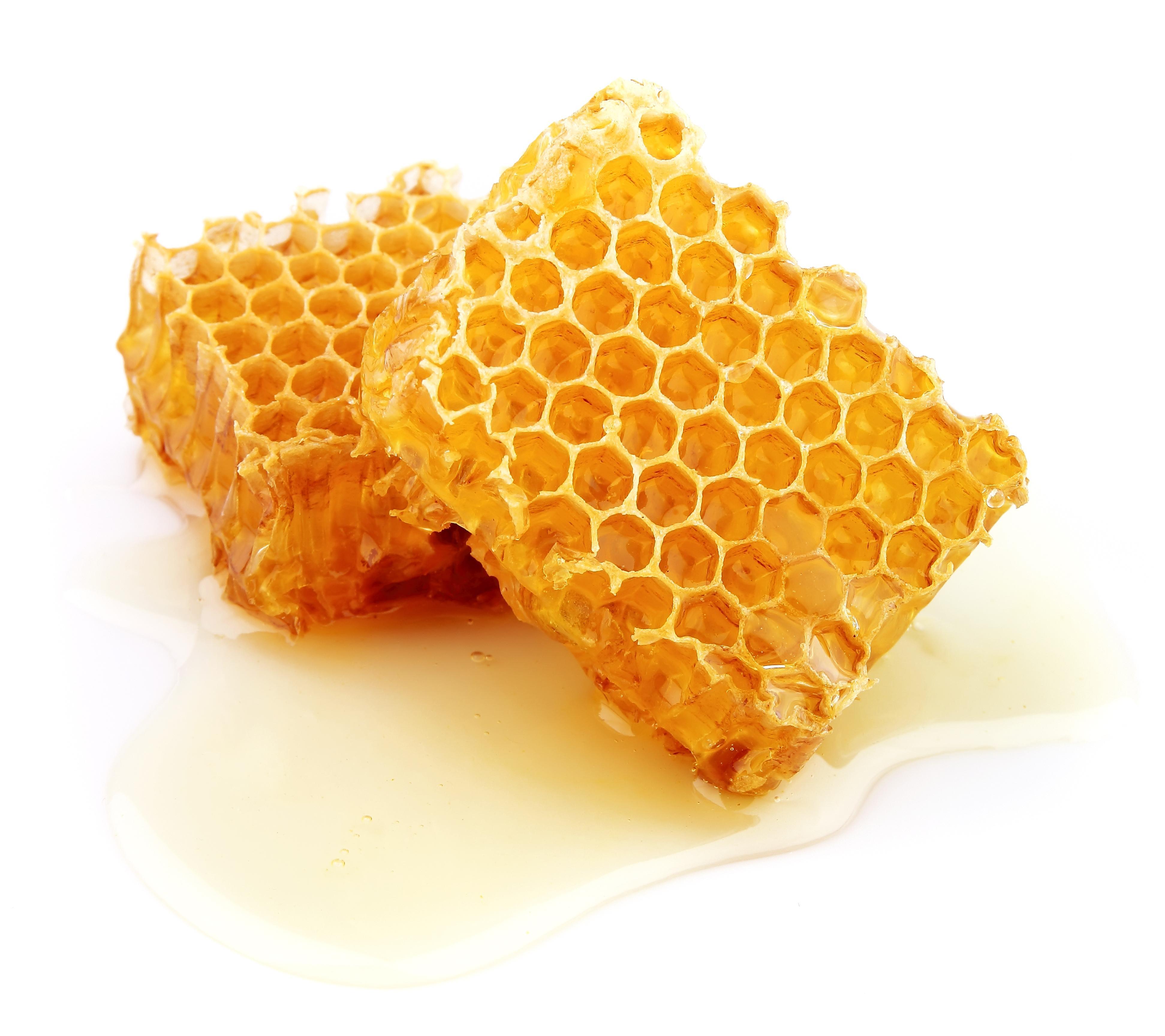 Honey Wallpapers - Wallpaper Cave