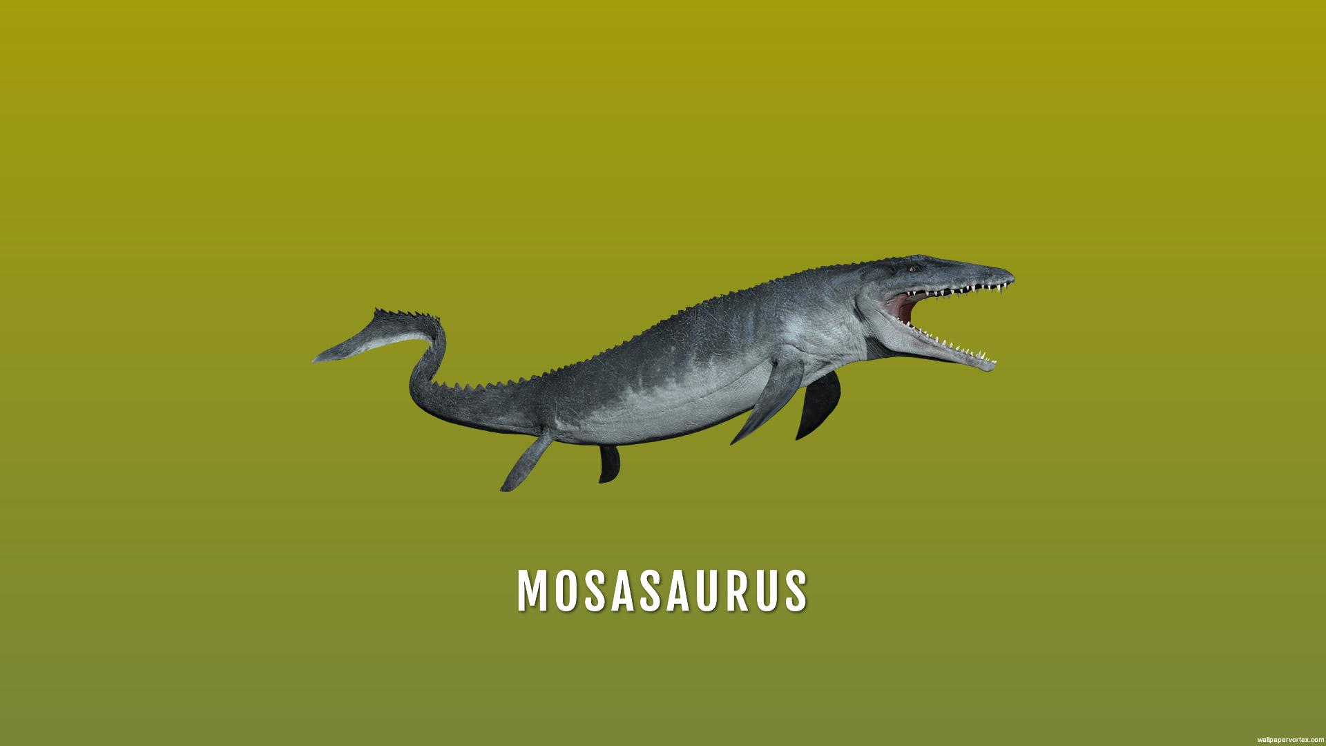 Mosasaurus HD Wallpaperx1080