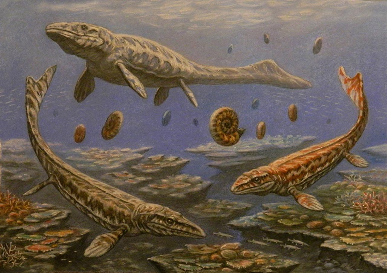 Wallpaper Dinosaurs Underwater Ancient animals Prognathodon