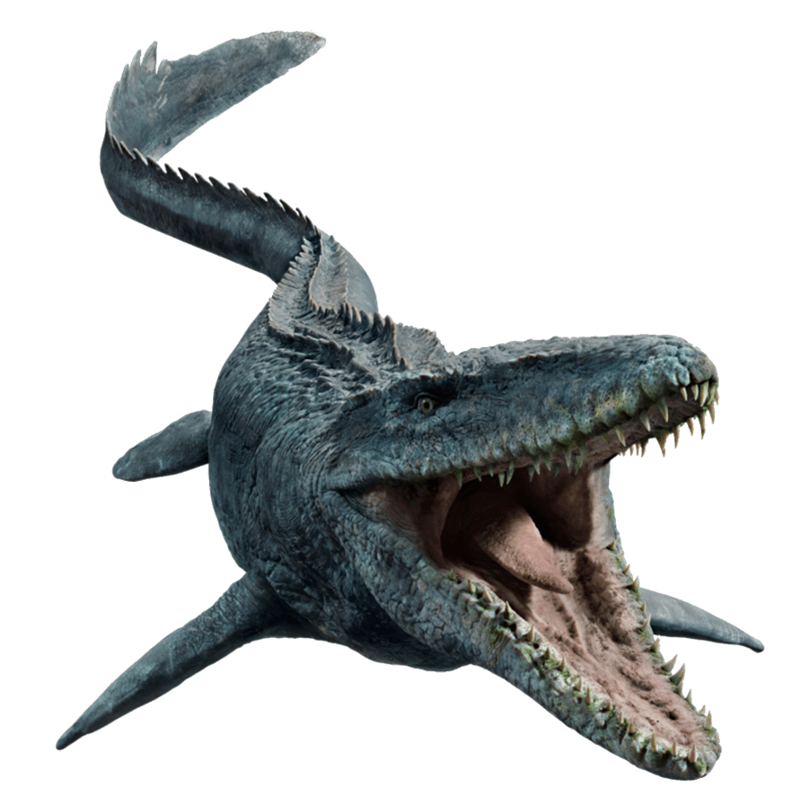 Cập nhật hơn 84 về hình nền mosasaurus hay nhất  Eteachers