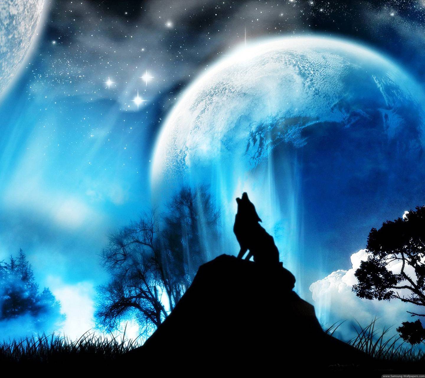 Night wolf Wallpaper