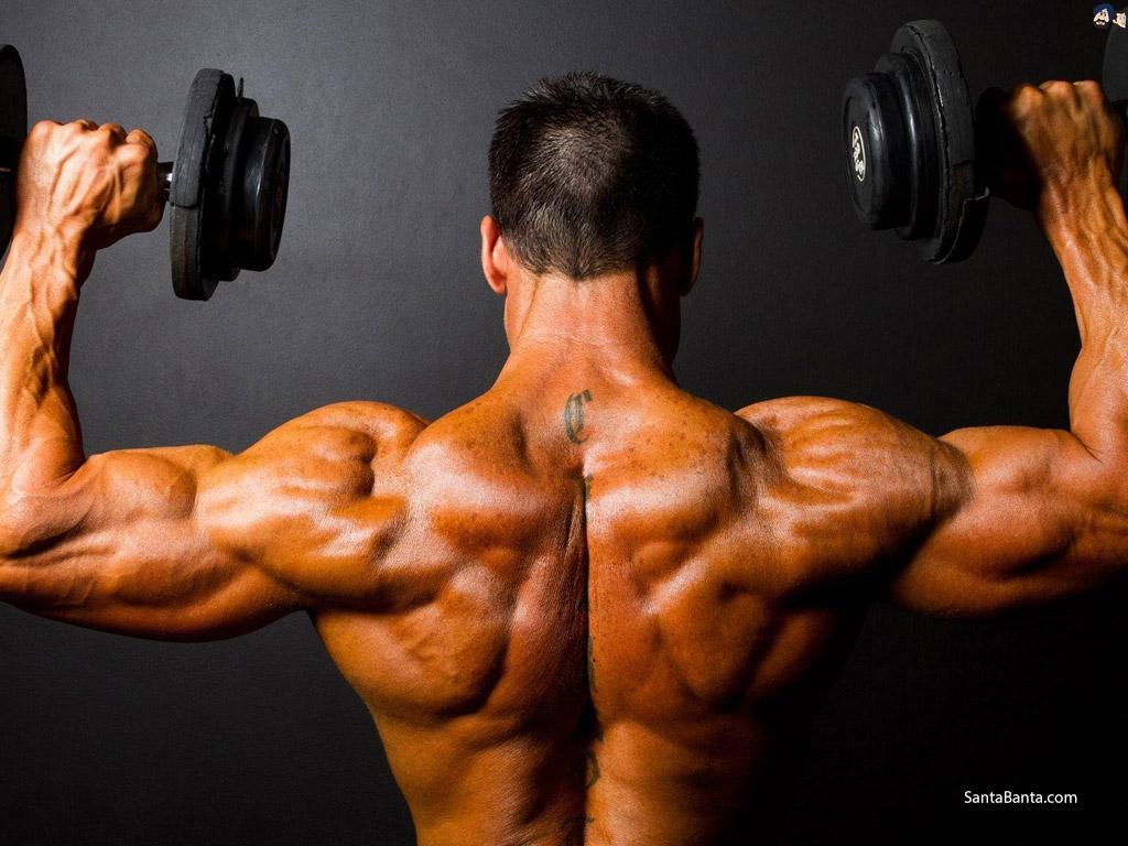 Bodybuilding Wallpaper