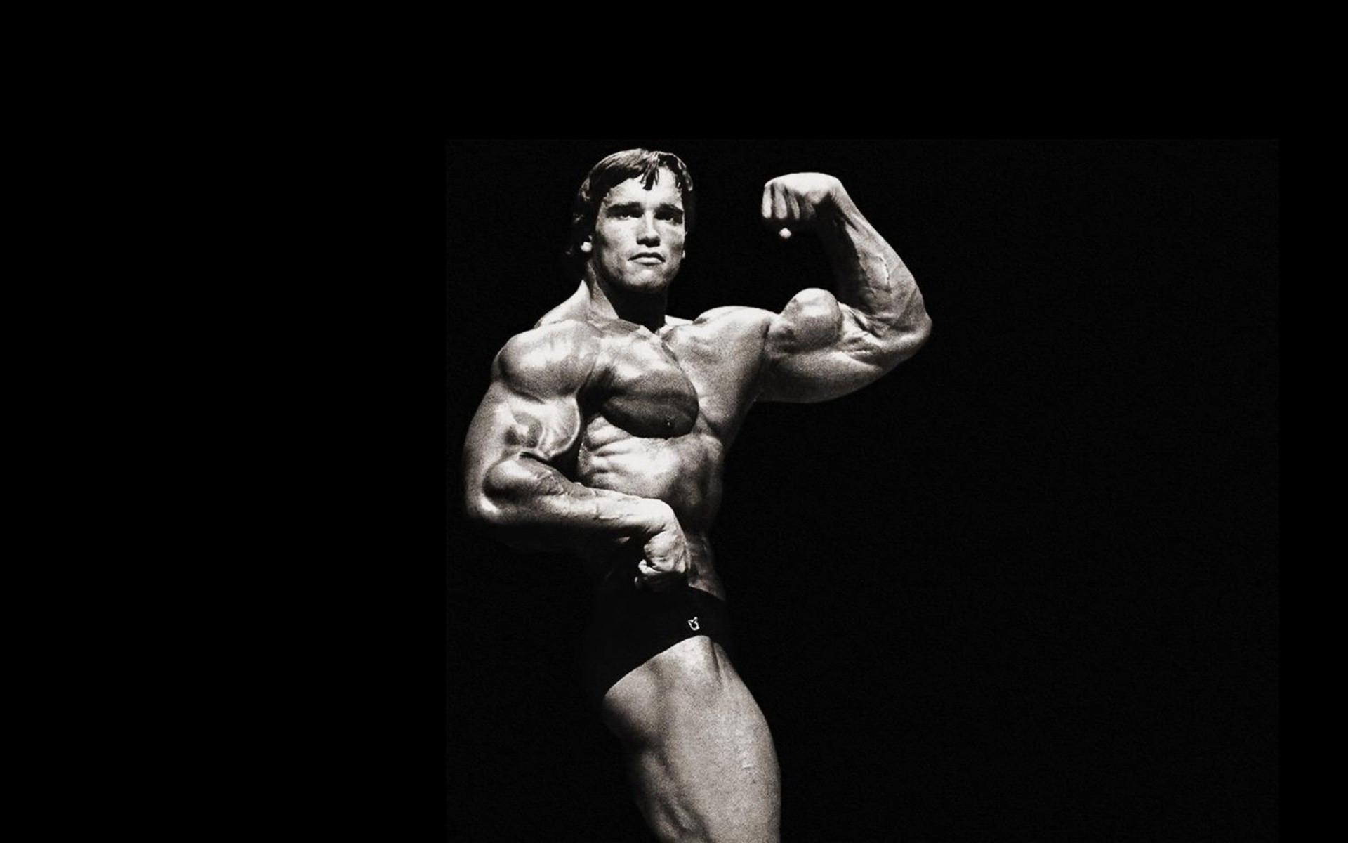 Arnold Bodybuilding Wallpaper. (52++ Wallpaper)