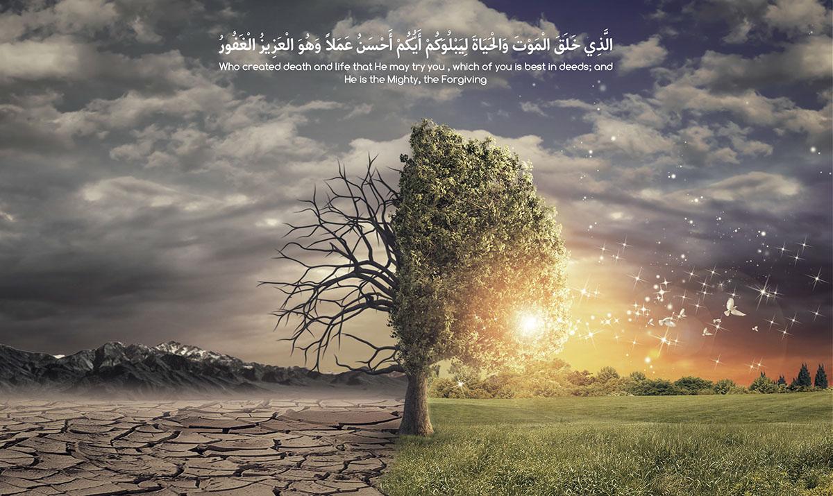 Before and after Islam #wallpaper