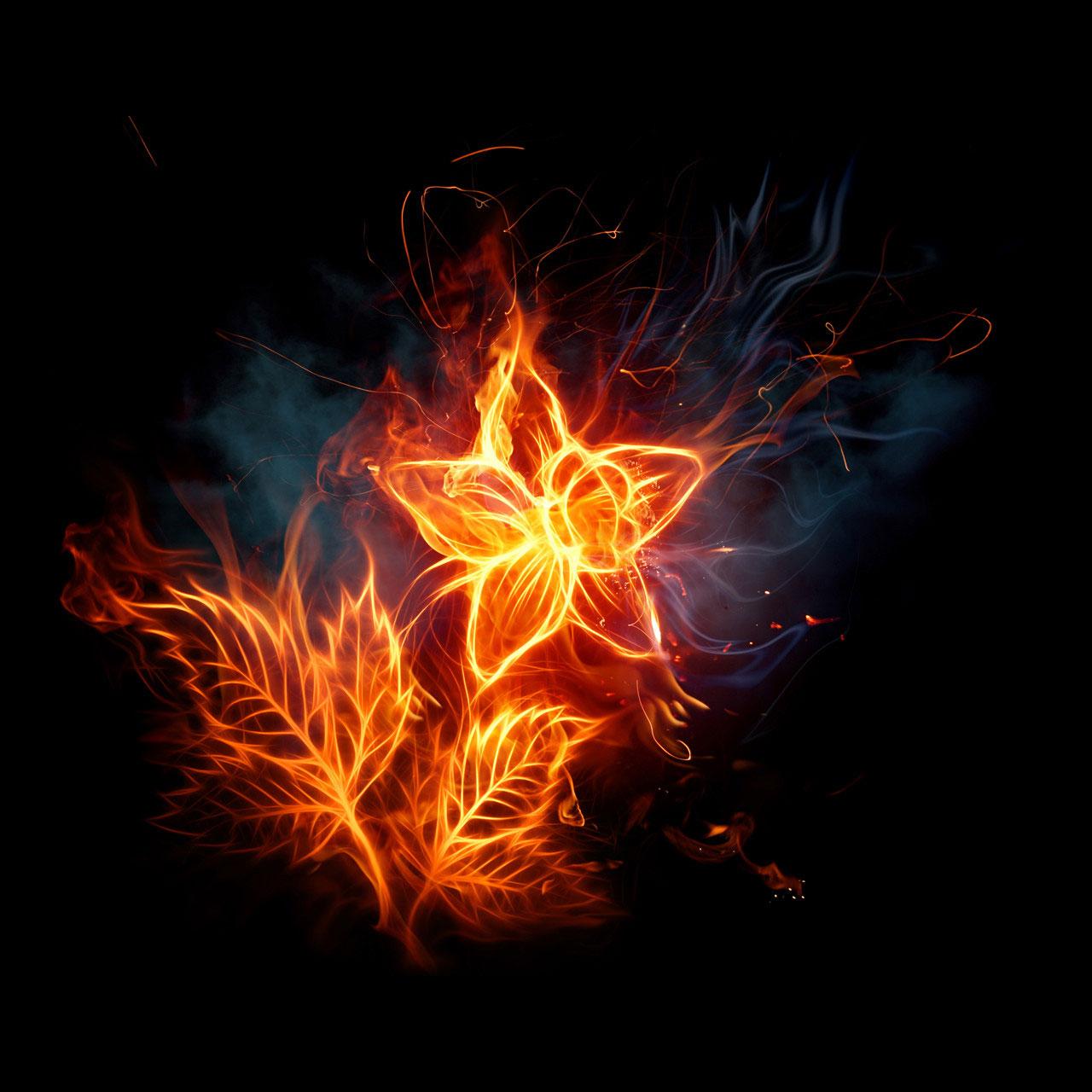 Fiery Flowers Lenovo Ideapad K1 wallpaper
