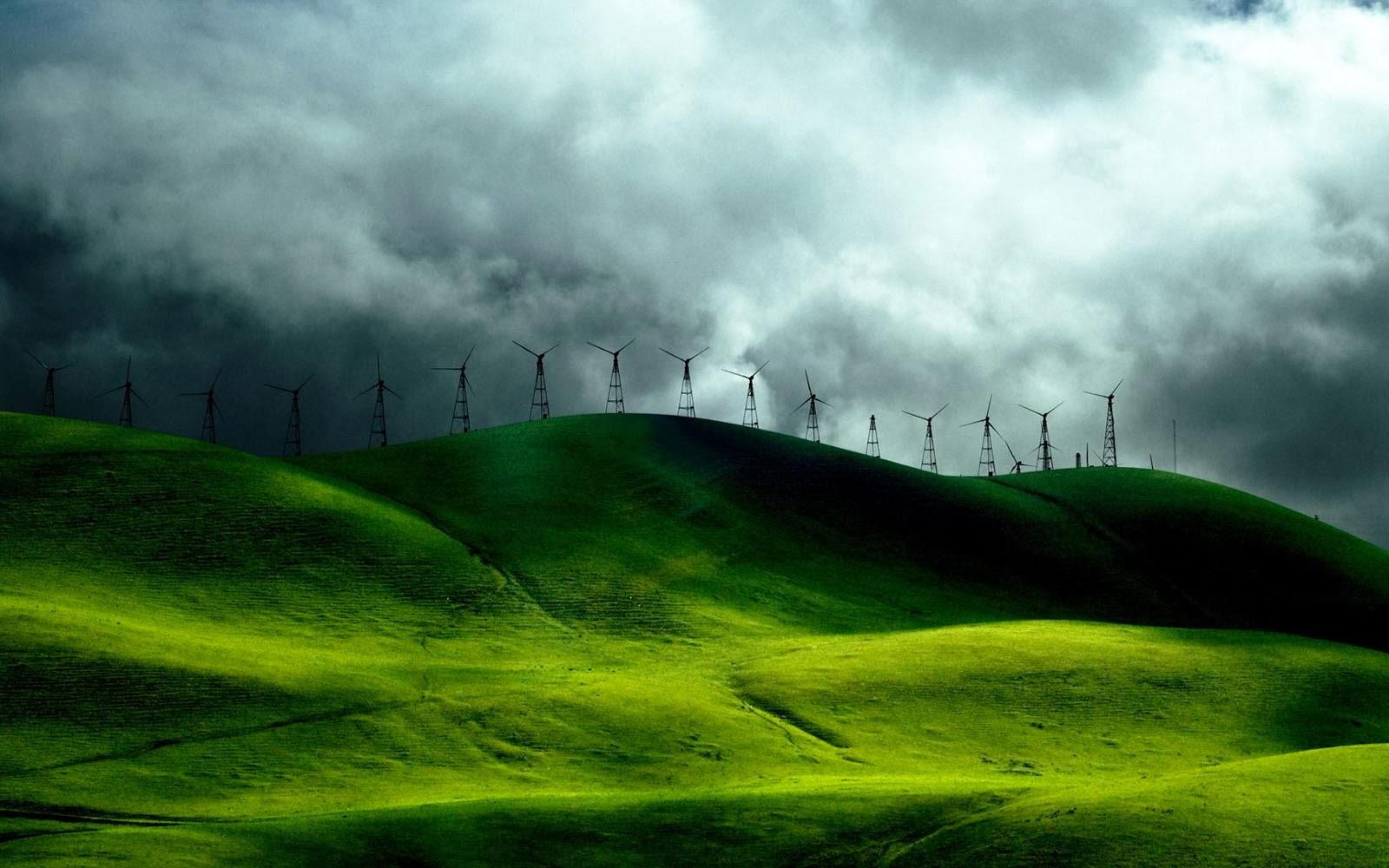 Grassy Hills Wallpaper Wallpaper Desktop