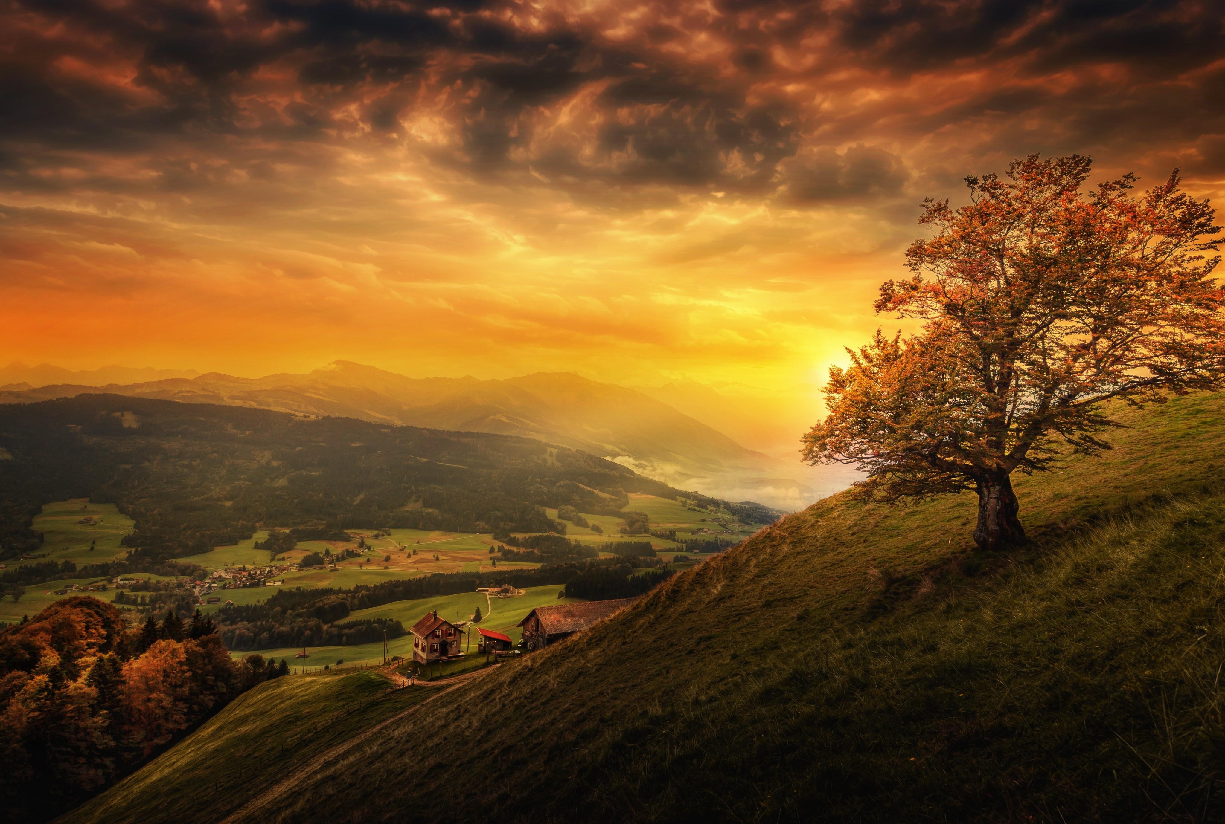 Download 4096x2757 Switzerland, Sunset, Tree, Hills Wallpaper