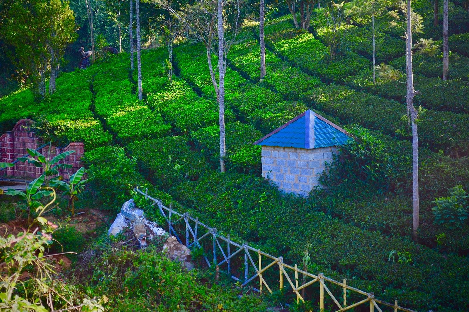 Most Beautiful Nature Image