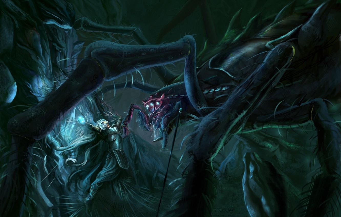 Wallpaper web, spider, art, The Lord of the Rings, John Ronald Reuel