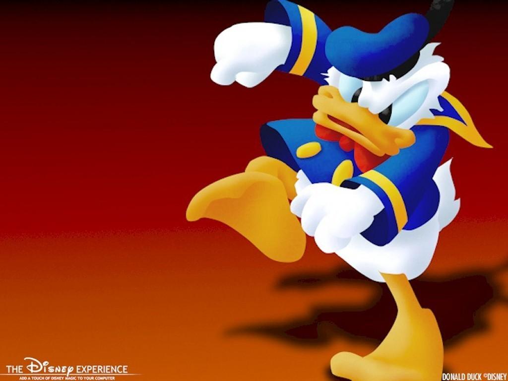 Donald Duck Wallpaper 16 X 768