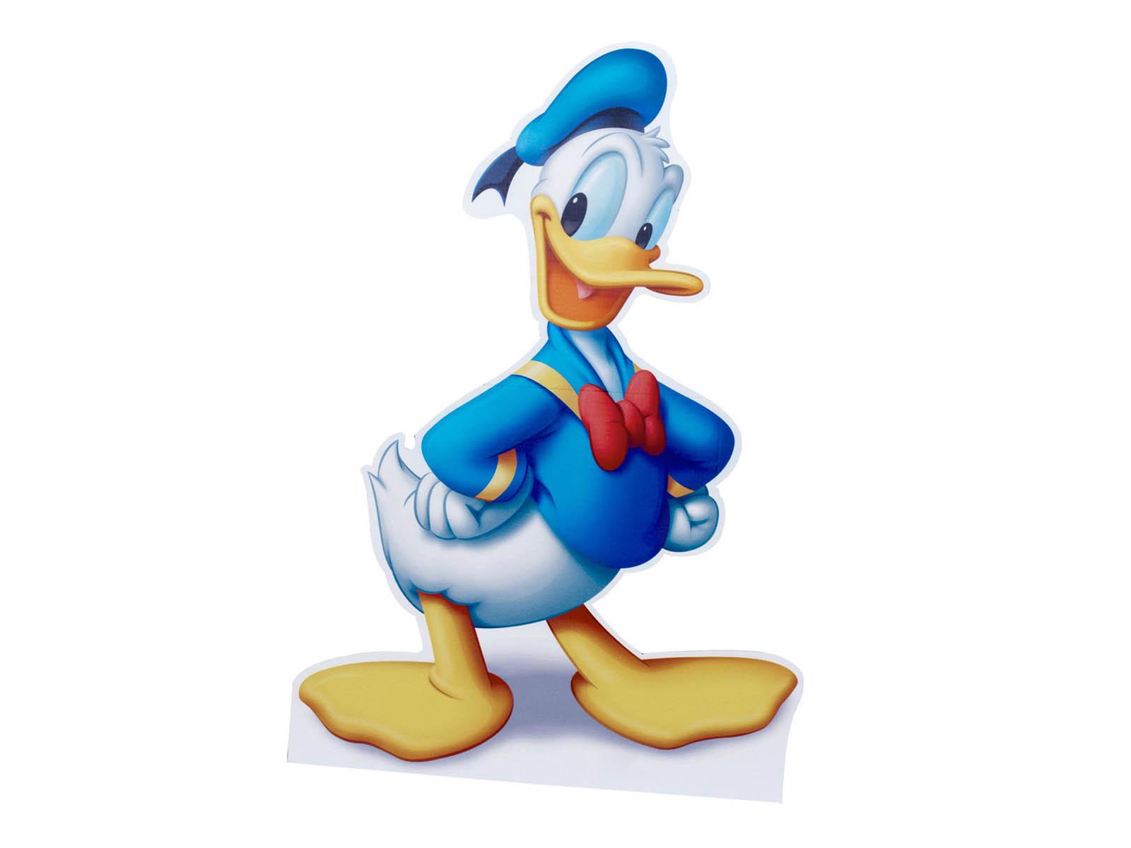 Donald Duck Wallpaper 17 X 1200