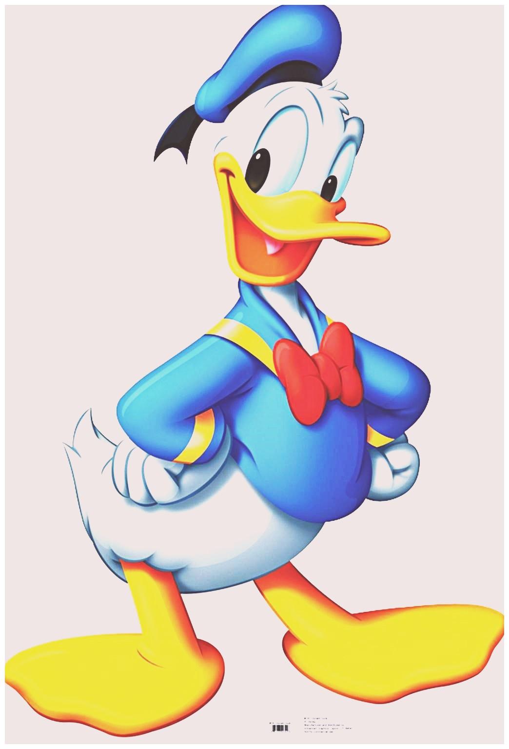 Donald Duck Wallpaper iPhone 5