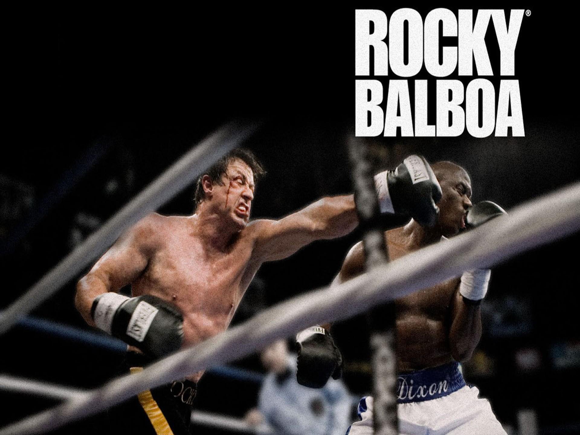 Rocky Balboa Desktop Wallpapers Wallpaper Cave - vrogue.co