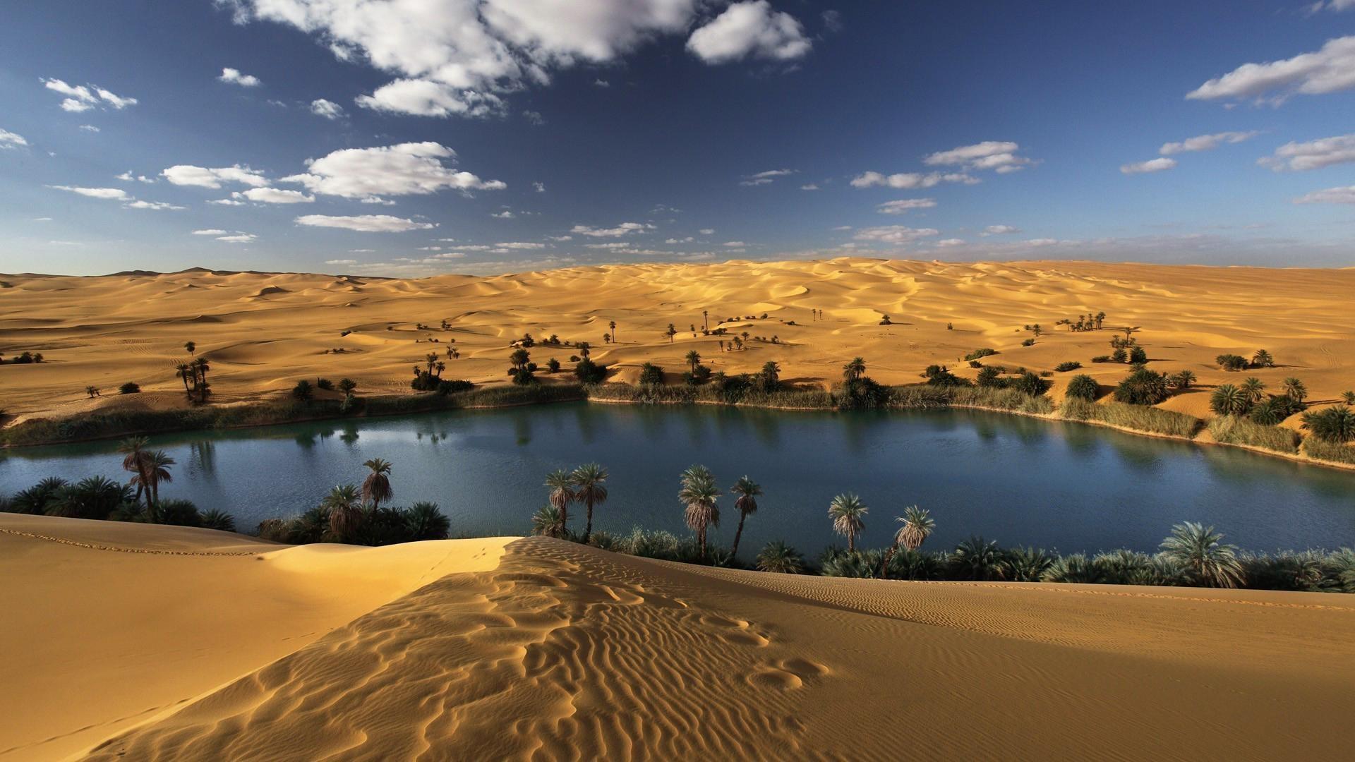 Desert Oasis Wallpaper